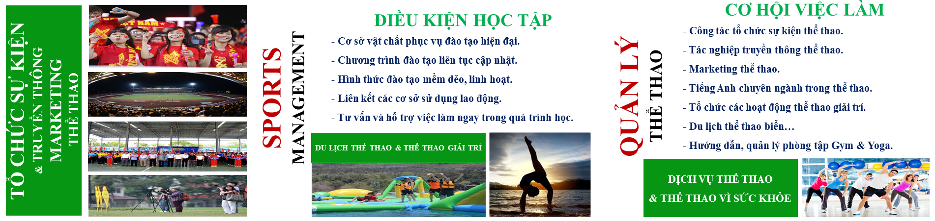 Ngành học quản lý thể thao